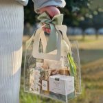 Transparent Gift Hand Bag