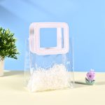 Transparent Gift Hand Bag