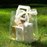 Transparent Gift Hand Bag
